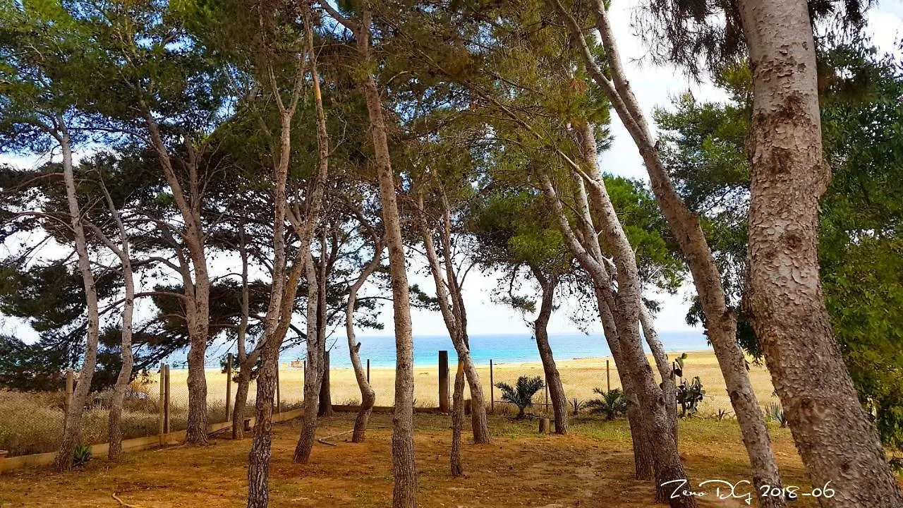 Pineta Sul Mare Apartment Castelluzzo Italy