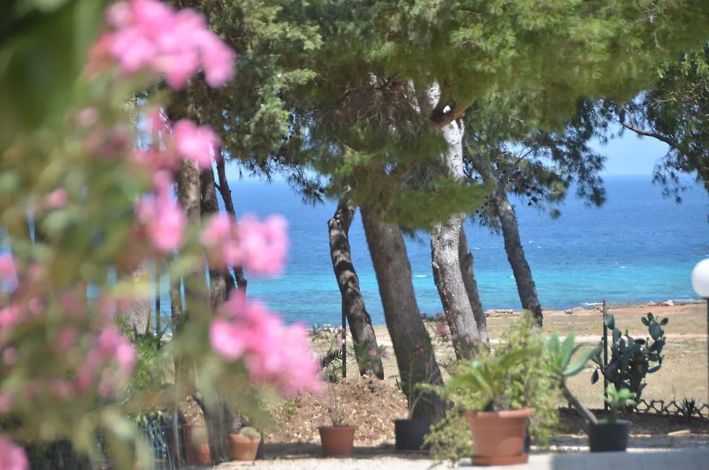 Apartmán Pineta Sul Mare Castelluzzo